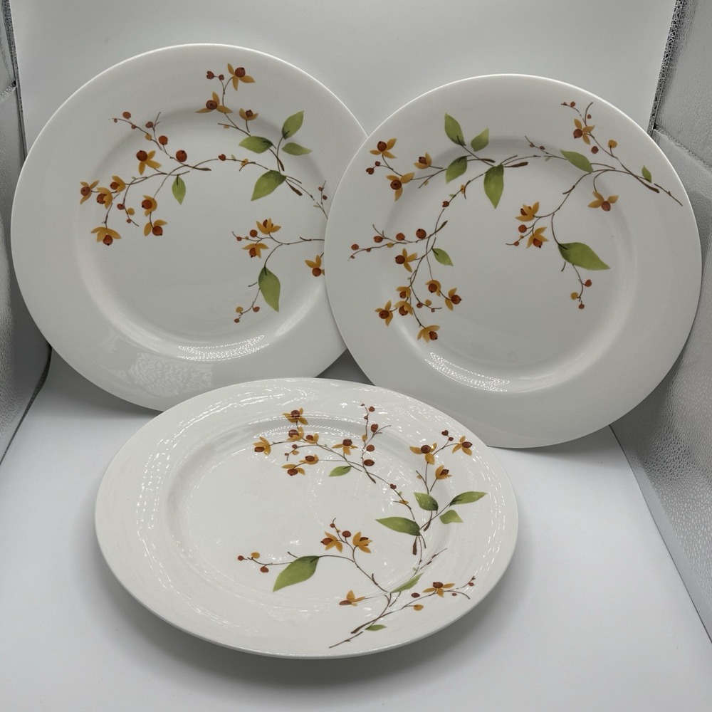Martha Stewart Bittersweet Branches Dinner Plates 11" ‎ Set 3 Discontinued